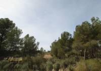 Venta - Casa de Campo - Monóvar/Monóver - Rural location