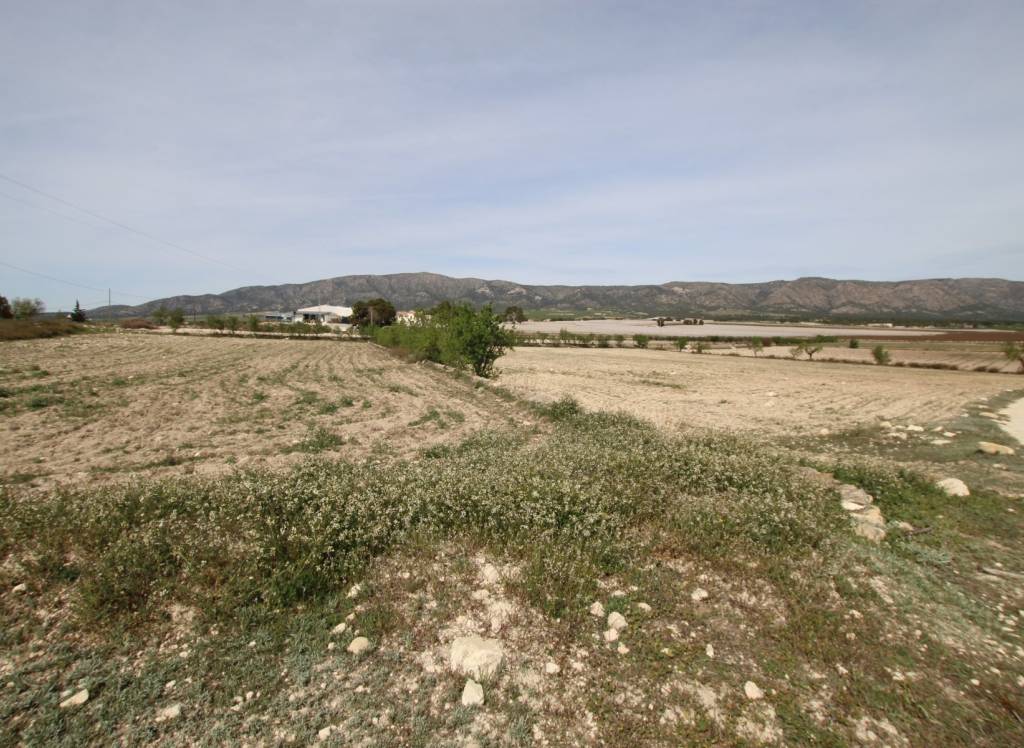 Venta - Casa de Campo - Monóvar/Monóver - Rural location