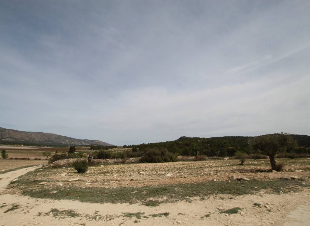 Venta - Casa de Campo - Monóvar/Monóver - Rural location