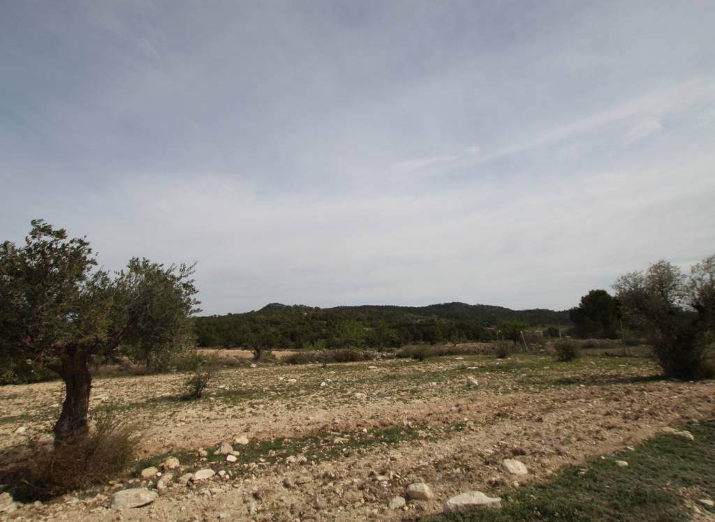 Venta - Casa de Campo - Monóvar/Monóver - Rural location