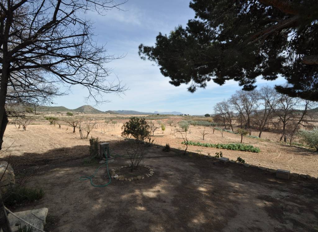 Venta - Casa de Campo - Monóvar/Monóver - Rural location