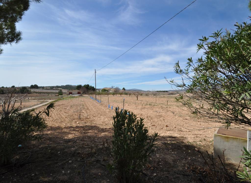 Venta - Casa de Campo - Monóvar/Monóver - Rural location