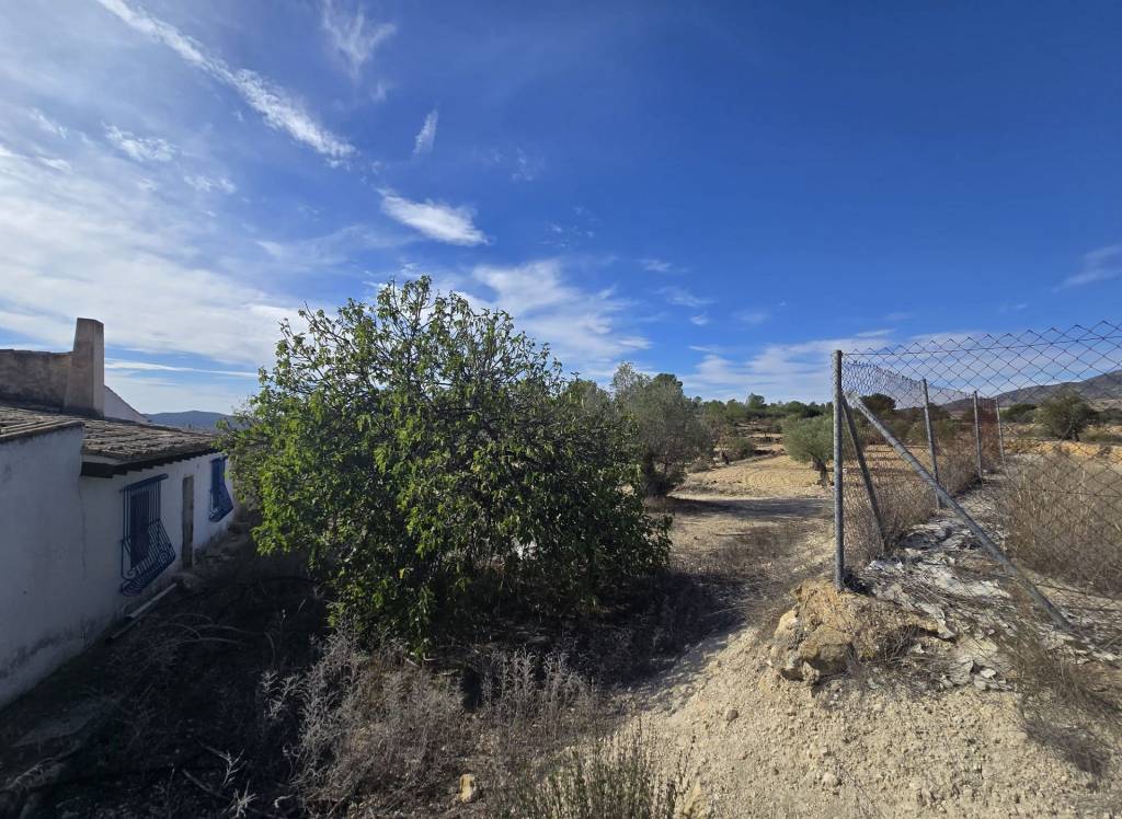 Venta - Casa de Campo - Monovar