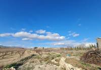 Venta - Casa de Campo - Pinoso - Edge of town