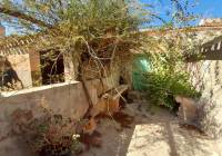 Venta - Casa de Campo - Pinoso - Edge of town