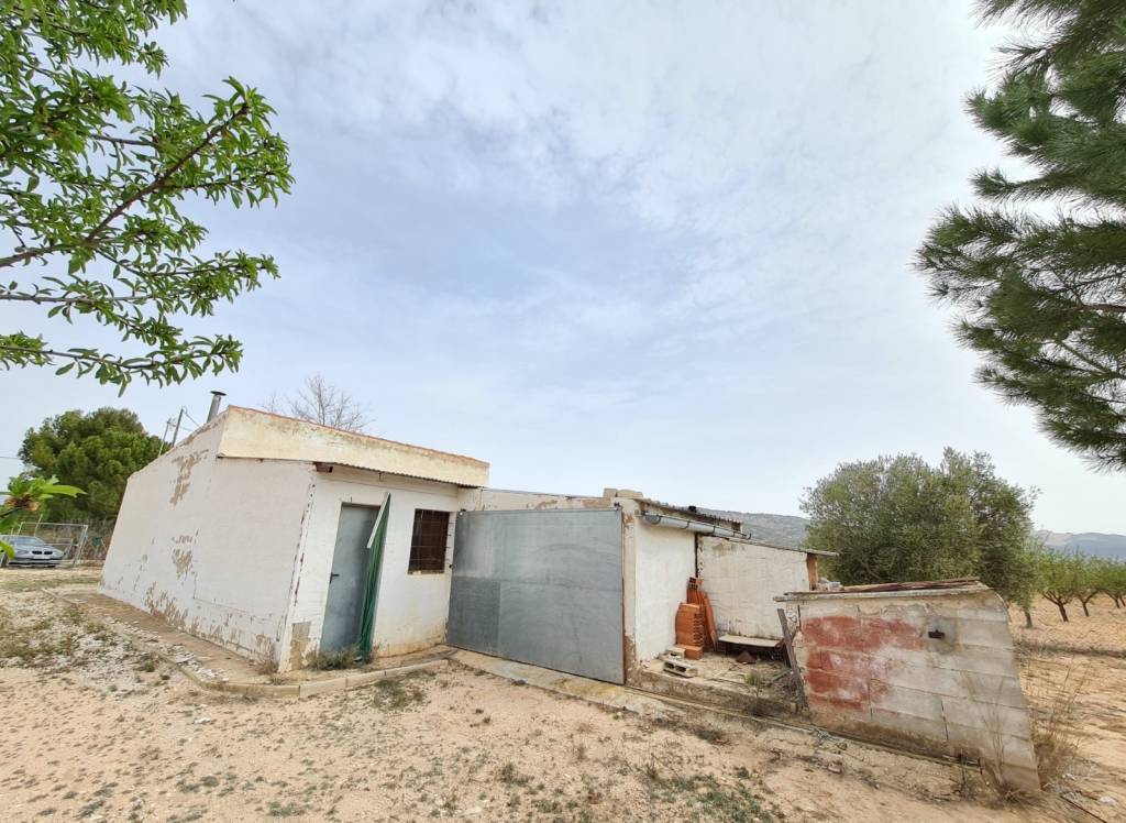 Venta - Casa de Campo - Pinoso - Rural location
