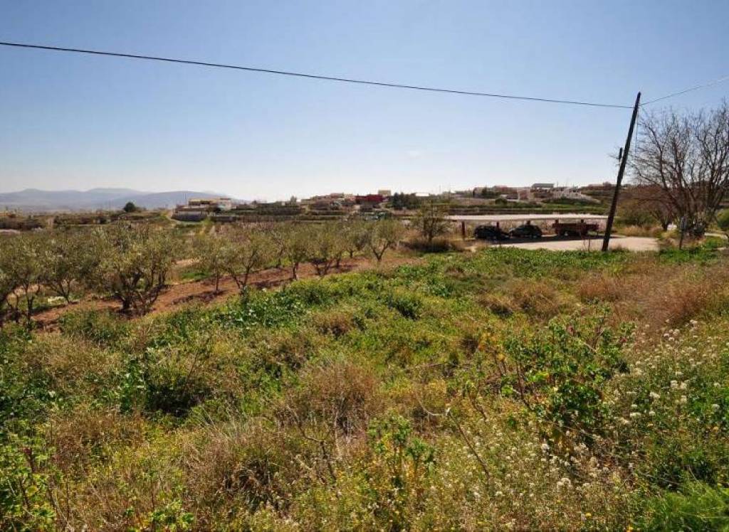 Venta - Casa de Campo - Raspay - Urban location