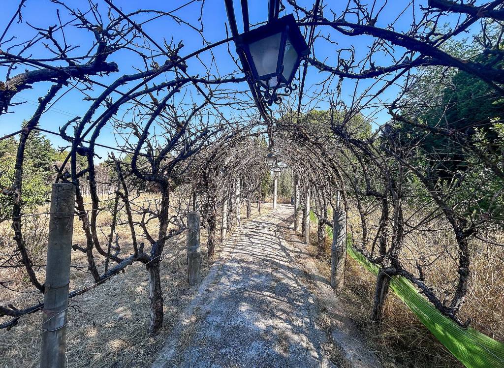 Venta - Casa de Campo - Sax