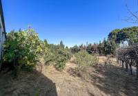 Venta - Casa de Campo - Sax