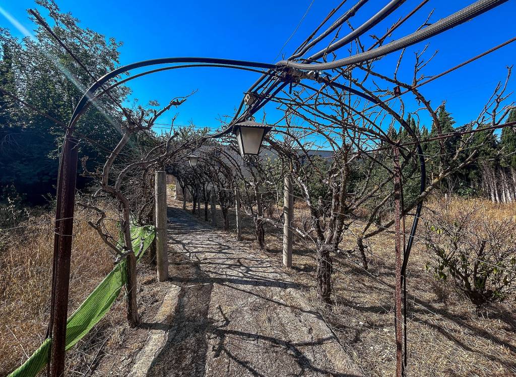 Venta - Casa de Campo - Sax