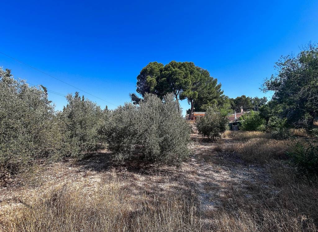 Venta - Casa de Campo - Sax