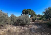 Venta - Casa de Campo - Sax