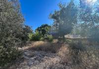 Venta - Casa de Campo - Sax