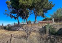 Venta - Casa de Campo - Sax