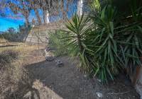 Venta - Casa de Campo - Sax