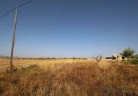 Venta - Casa de Campo - Torre Del Rico - Rural location