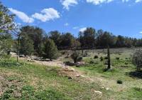 Venta - Casa de Campo - Villena - Rural location