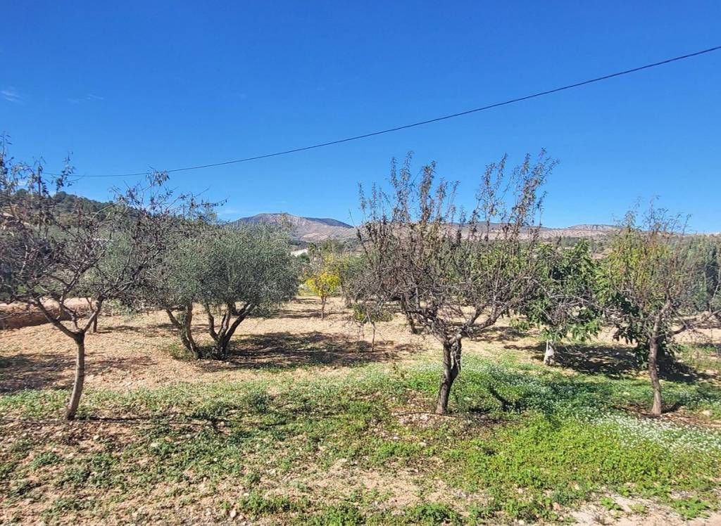 Venta - Detached Villa - La Romana