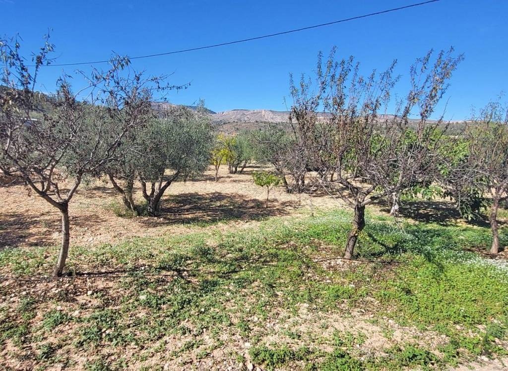 Venta - Detached Villa - La Romana