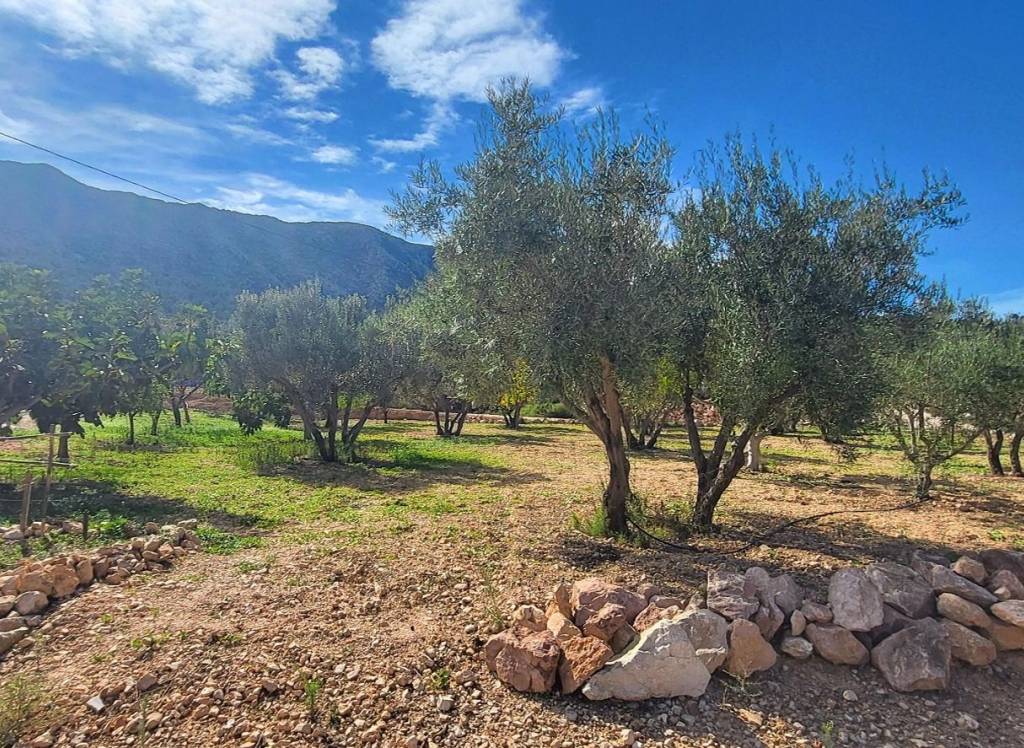 Venta - Detached Villa - La Romana