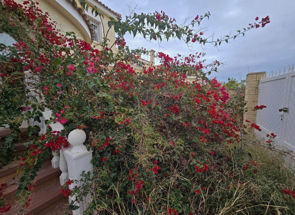 Venta - Detached Villa - Monforte Del Cid - Monforte del Cid