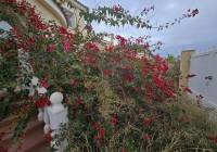 Venta - Detached Villa - Monforte Del Cid - Monforte del Cid