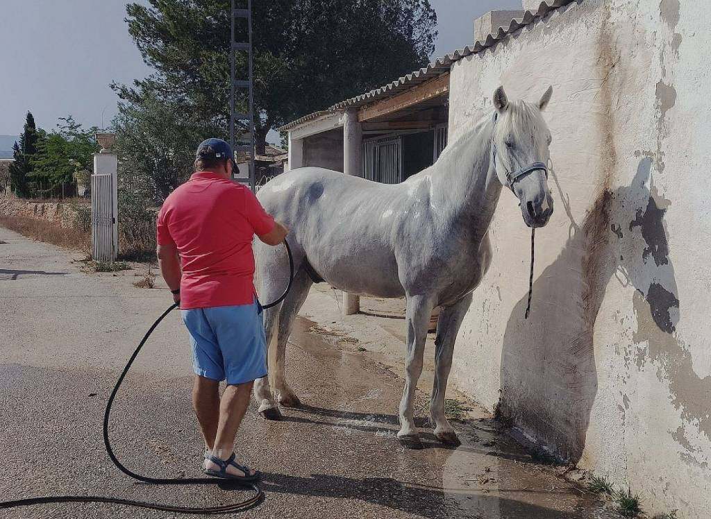 Venta - Detached Villa - Monovar