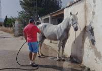 Venta - Detached Villa - Monovar