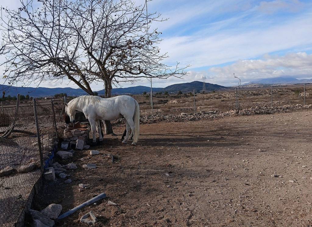 Venta - Detached Villa - Monovar