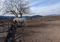 Venta - Detached Villa - Monovar