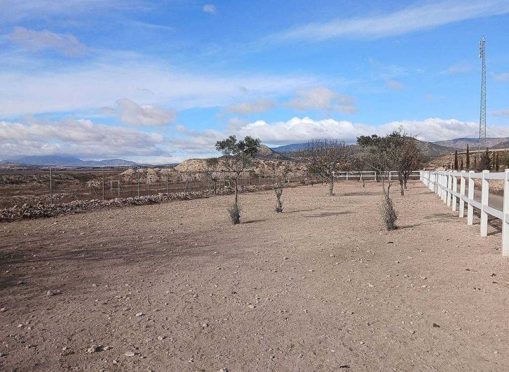 Venta - Detached Villa - Monovar