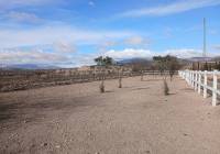 Venta - Detached Villa - Monovar