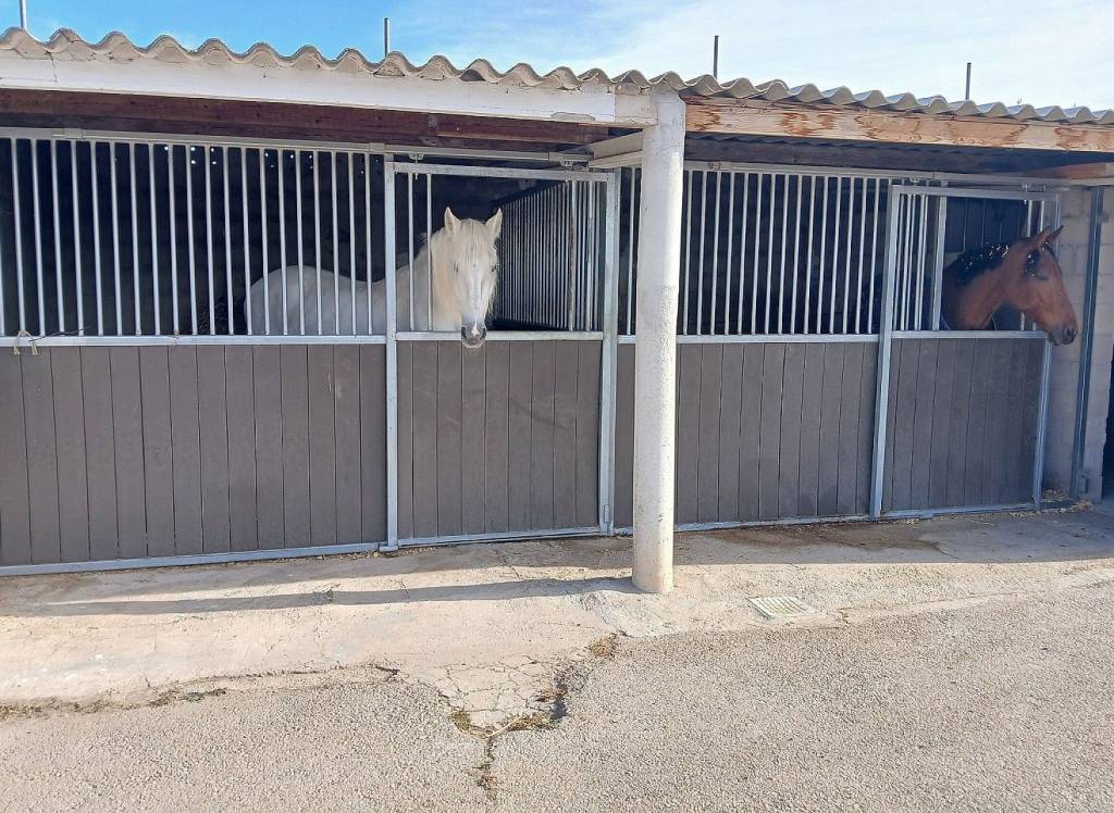 Venta - Detached Villa - Monovar