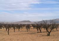 Venta - Obra Nueva - Monovar - In hamlet