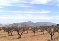 Venta - Obra Nueva - Monovar - In hamlet