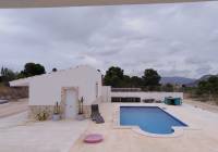 Venta - Obra Nueva - Novelda - Urban location