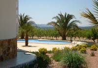 Venta - Obra Nueva - Pinoso - Rural location