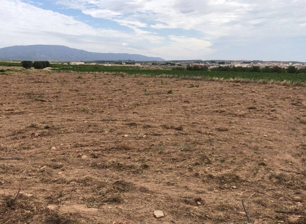 Venta - Obra Nueva - Pinoso - Rural location