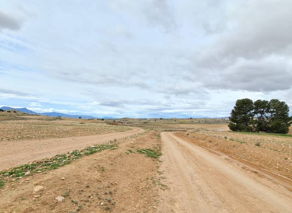 Venta - Obra Nueva - Torre Del Rico - Rural location