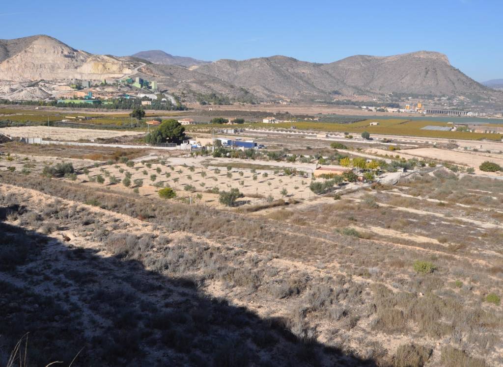 Venta - Proyecto de restauración - Aspe - To be confirmed