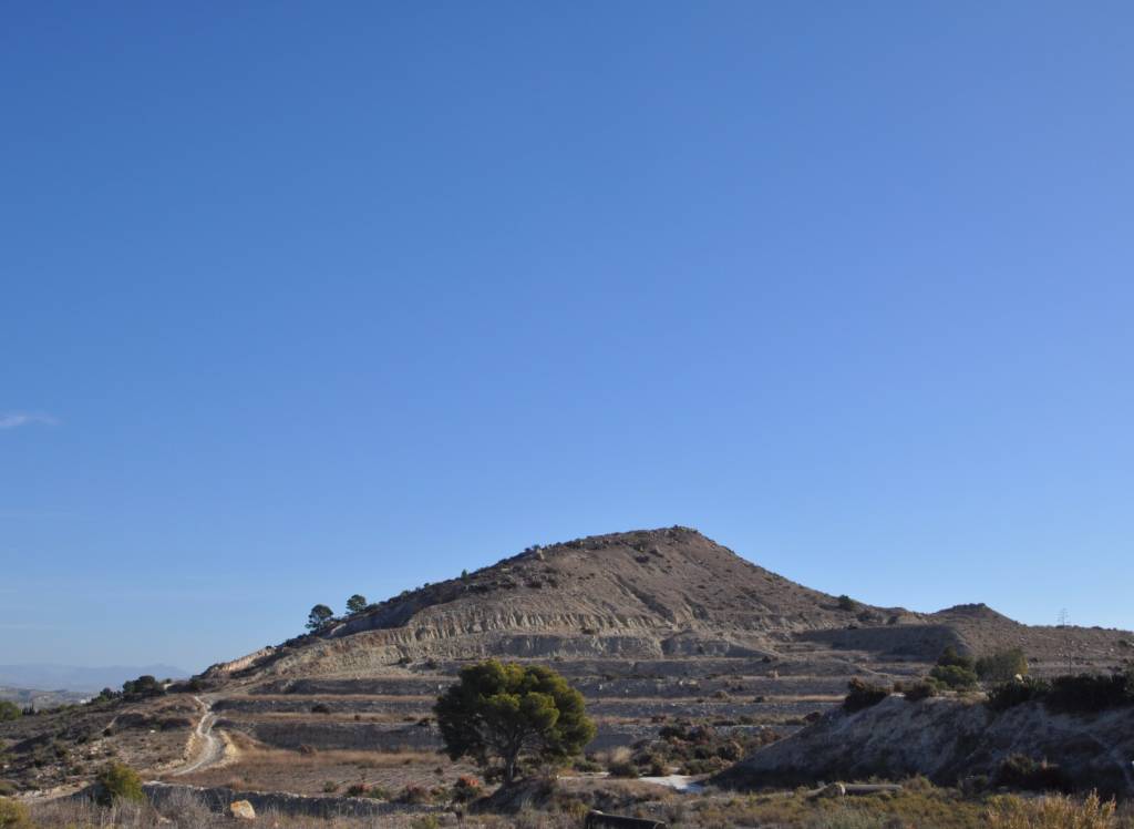 Venta - Proyecto de restauración - Aspe - To be confirmed