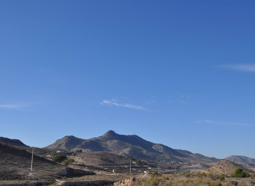 Venta - Proyecto de restauración - Aspe - To be confirmed