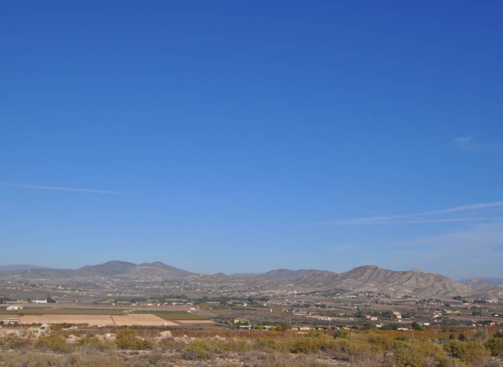 Venta - Proyecto de restauración - Aspe - To be confirmed