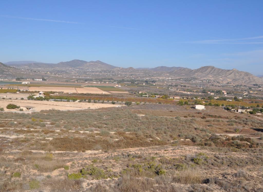 Venta - Proyecto de restauración - Aspe - To be confirmed