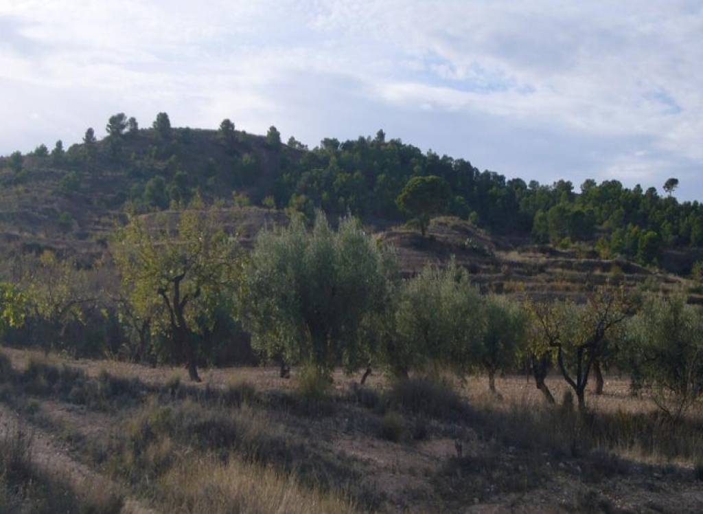 Venta - Proyecto de restauración - Macisvenda - Rural location