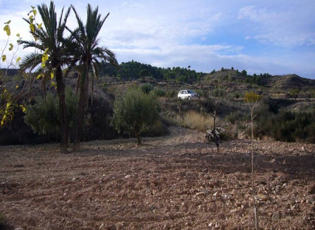 Venta - Proyecto de restauración - Macisvenda - Rural location