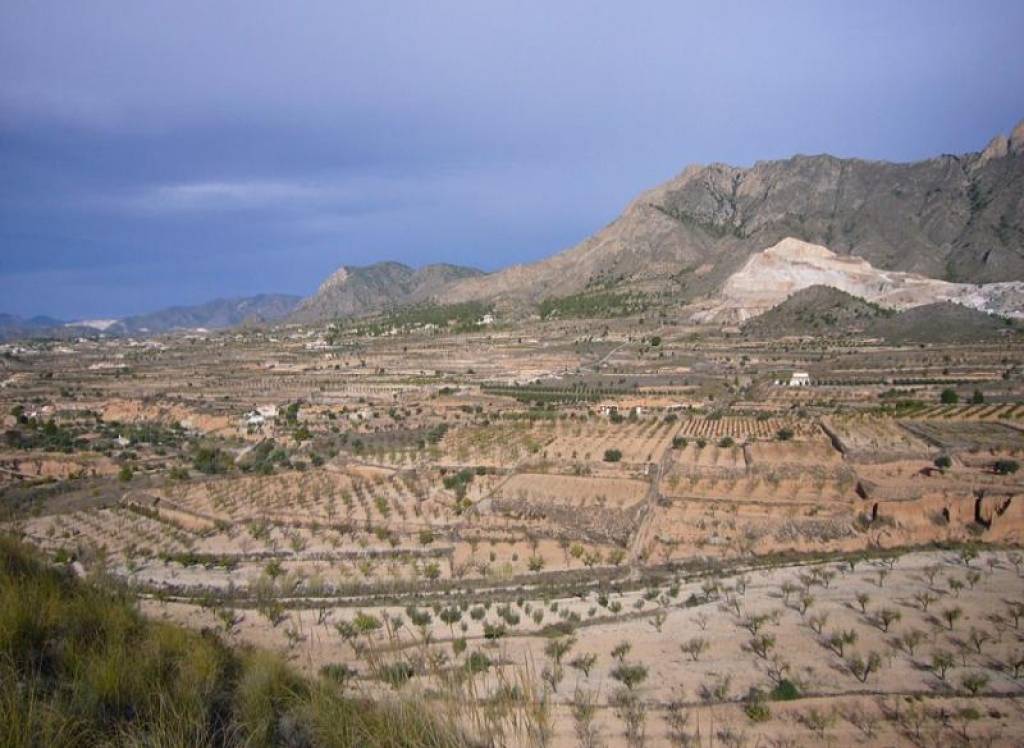 Venta - Proyecto de restauración - Macisvenda - Rural location