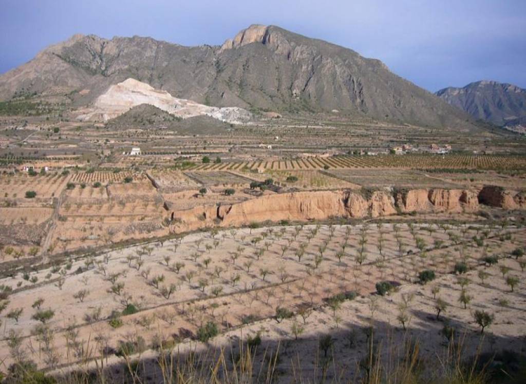 Venta - Proyecto de restauración - Macisvenda - Rural location