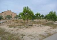 Venta - Proyecto de restauración - Pinoso - Rural location