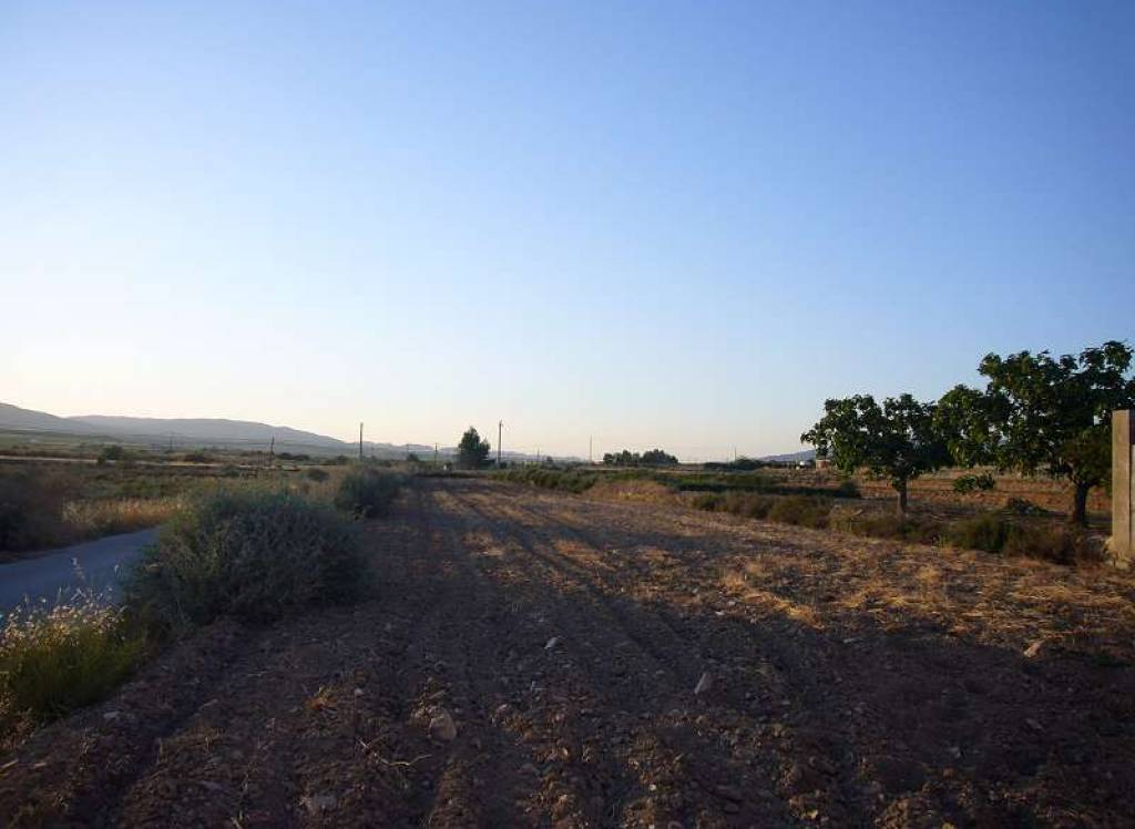 Venta - Proyecto de restauración - Rodriguillo - In hamlet